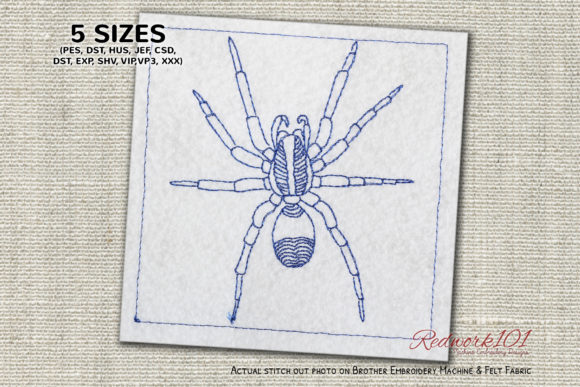 Ugly and Hairy Wolf Spider Redwork Review